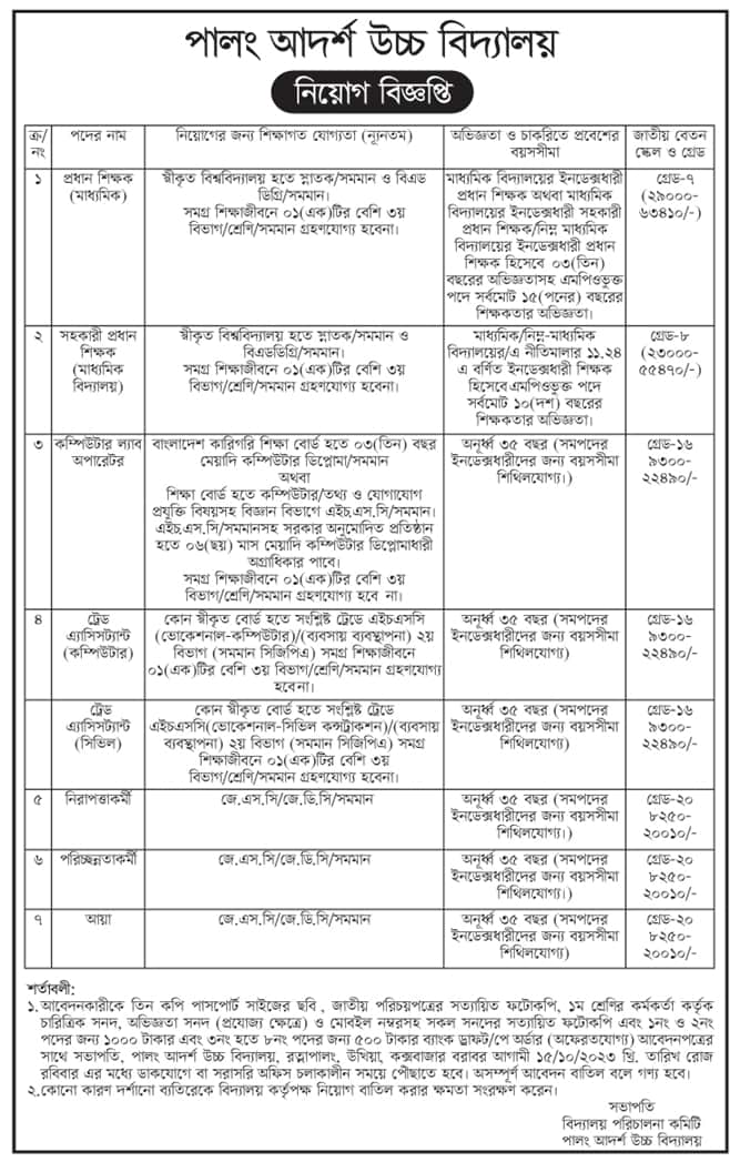 Palong Model High School and College Job Circular 