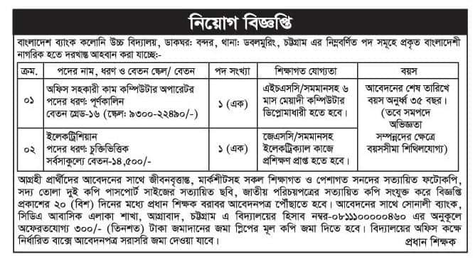 Bangladesh Bank Colony High School Job Circular 